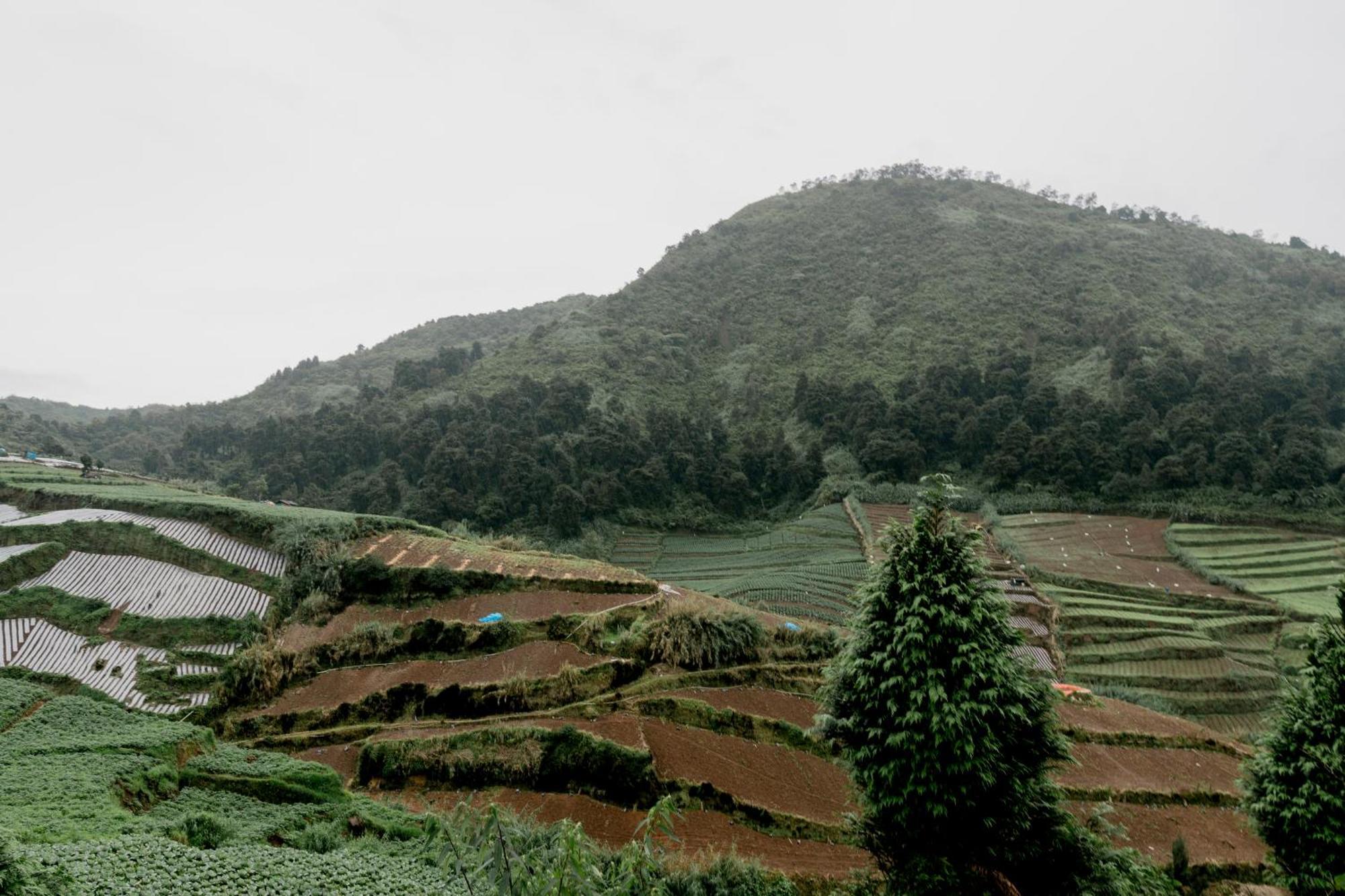 Satha Private Villa Dieng Banjarnegara ภายนอก รูปภาพ